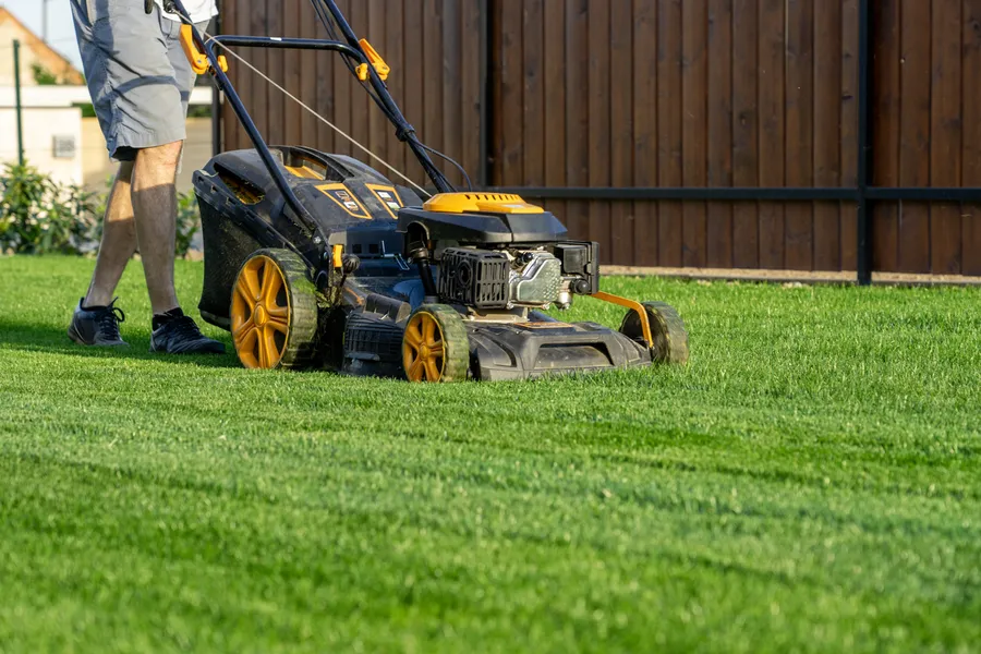 Benefits Of Professional Lawn Mowing Service For Your Yard Bloomfield, NJ