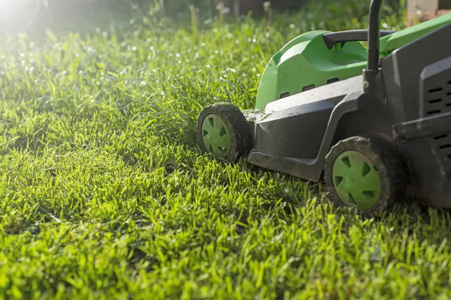 Benefits Of Professional Lawn Mowing Service For Your Yard in Bloomfield, NJ