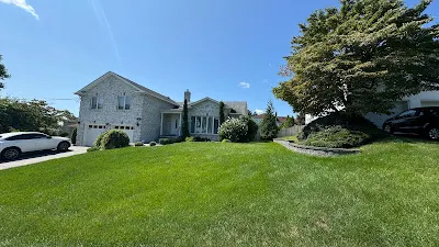 Lawn Mowing Service
