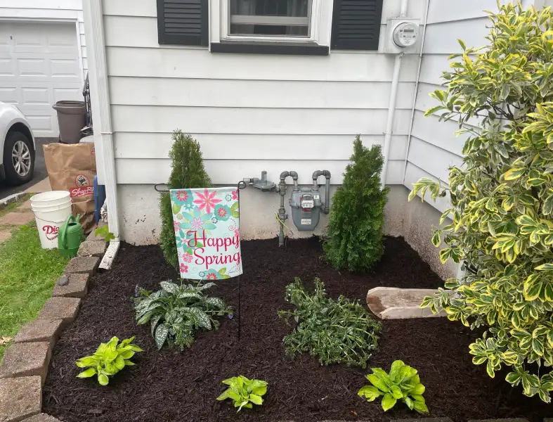 S&C Landscaping and Design's other services