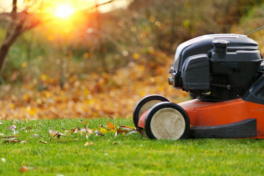 Seasonal Lawn Care Tips For A Healthy, Vibrant Yard in Bloomfield, NJ
