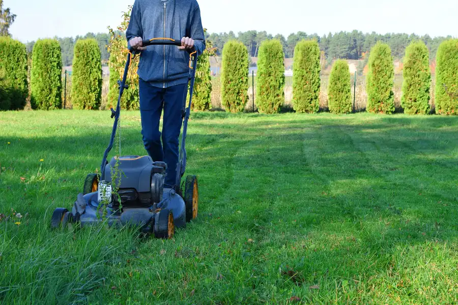 The Importance Of Lawn Mowing In Preventing Weed Overgrowth Bloomfield, NJ