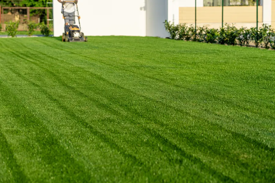 The Importance Of Lawn Mowing In Preventing Weed Overgrowth in Bloomfield, NJ