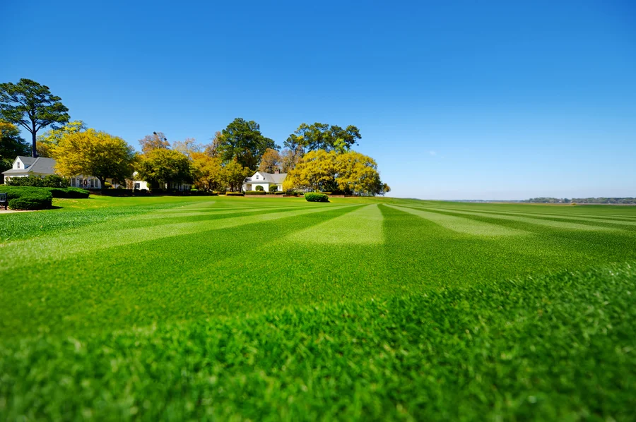 Top Lawn Care Trends Shaping The Landscaping Industry in Bloomfield, NJ